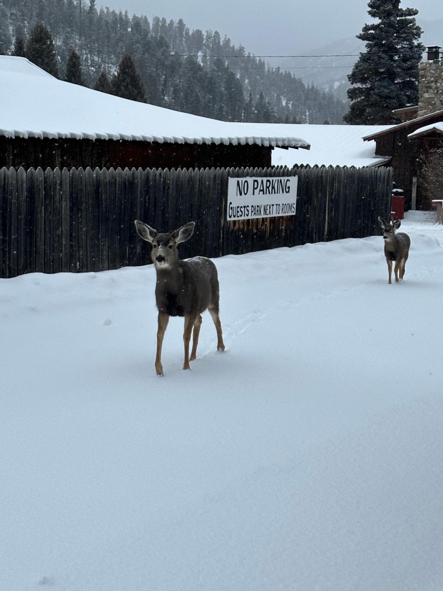 Deer Lodge Red River Bagian luar foto